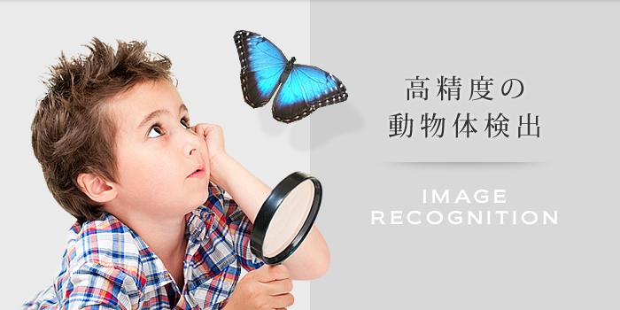 画像認識　IMAGE RECOGNITION